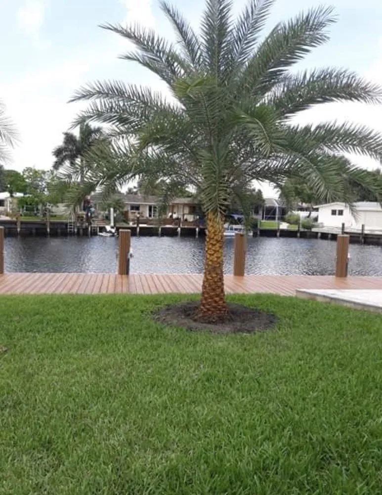 Trusted garden landscaping in Hialeah, FL - Arrieta Landscape