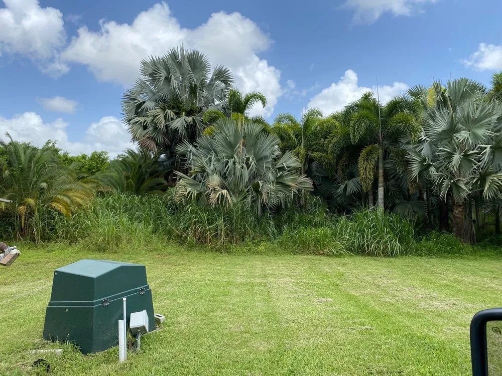 Trusted landscape design for outdoor upgrades in Hialeah, FL by Arrieta Landscape