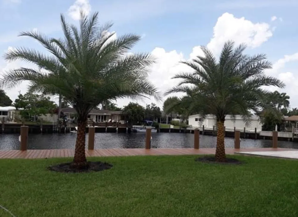 Trusted residential landscaping in Hialeah, FL - Arrieta Landscape