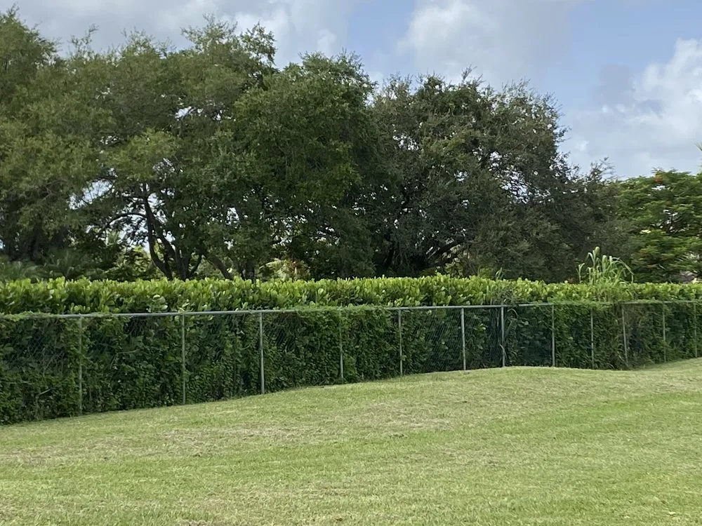 Local lawn mowing service experts serving Hialeah, FL - Arrieta Landscape