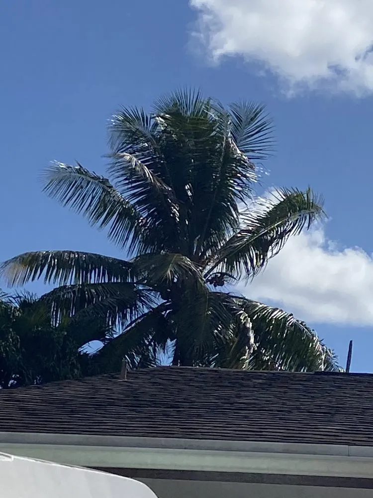 Local yard maintenance in Hialeah, FL by Arrieta Landscape