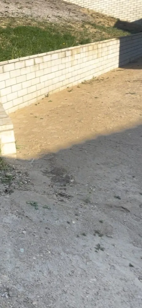 Top-rated yard maintenance experts serving San Bernardino, CA - Arrieta Landscape