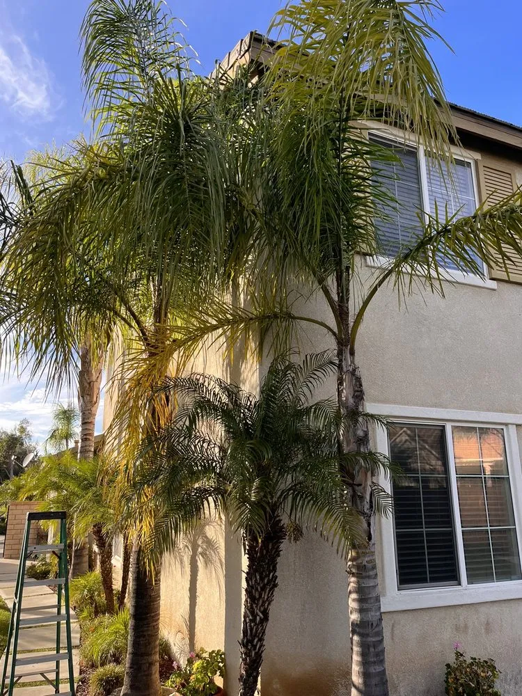 Custom yard maintenance with custom design in San Bernardino, CA by Arrieta Landscape