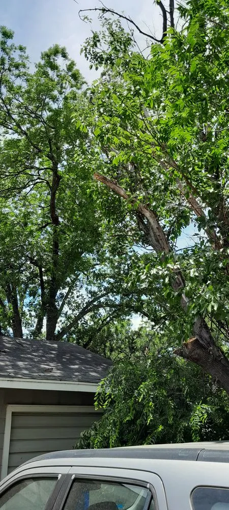 Local yard maintenance for outdoor upgrades across Newcastle, TX - Arringtons Landscaping and Tree Trimming