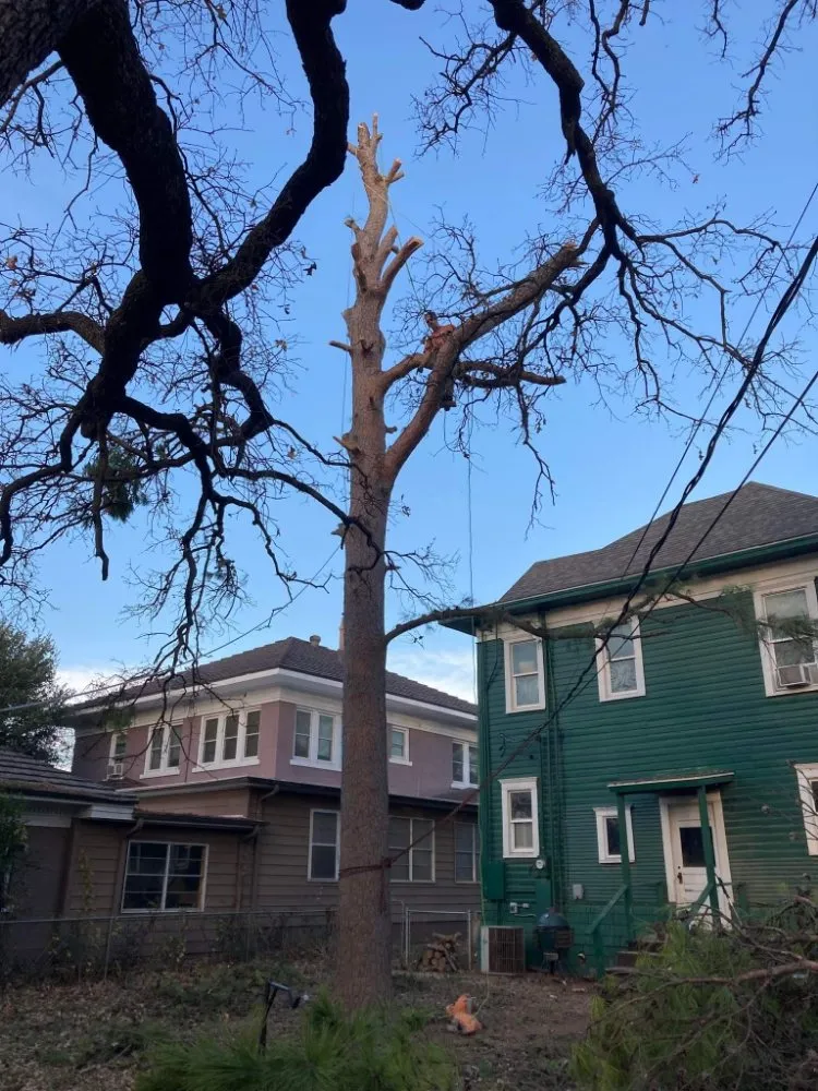 Custom residential landscaping in Newcastle, TX - Arringtons Landscaping and Tree Trimming