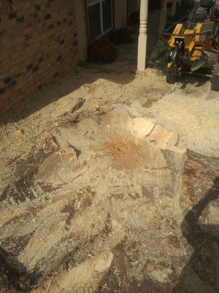 Top-rated yard cleanup service in Newcastle, TX - Arringtons Landscaping and Tree Trimming