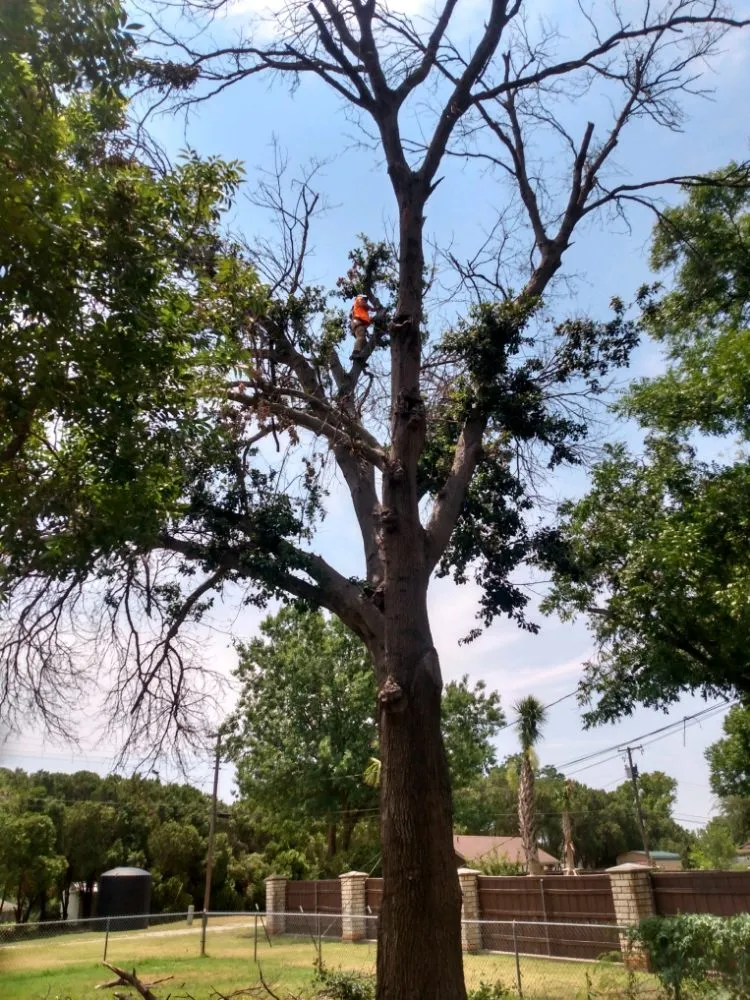 Custom lawn mowing service in Newcastle, TX by Arringtons Landscaping and Tree Trimming