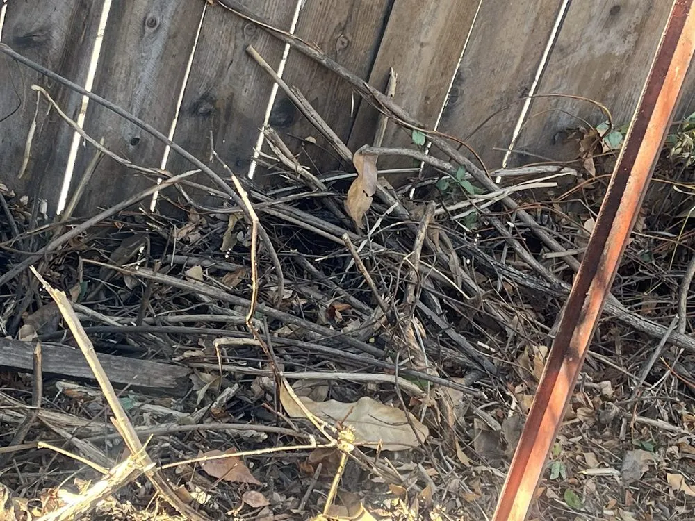 Custom outdoor landscaping experts serving Valley Center, CA - Arriola Landscape