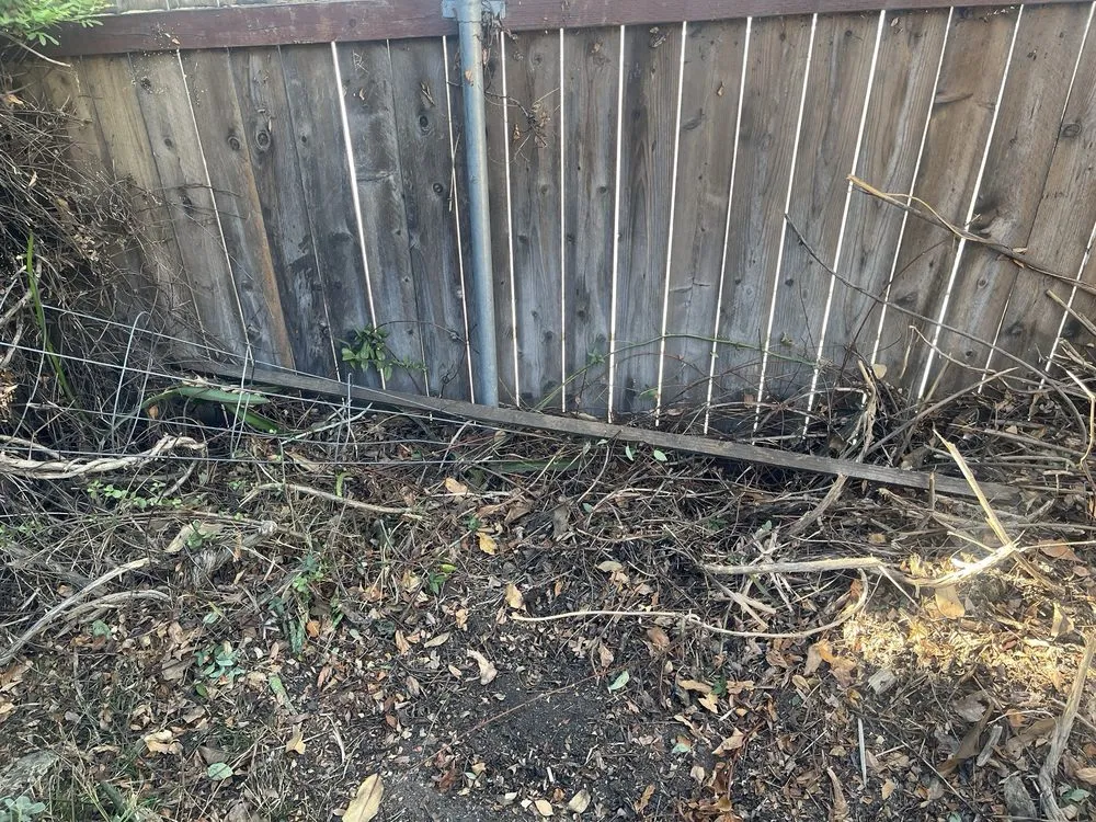 Reliable yard cleanup service in Valley Center, CA by Arriola Landscape