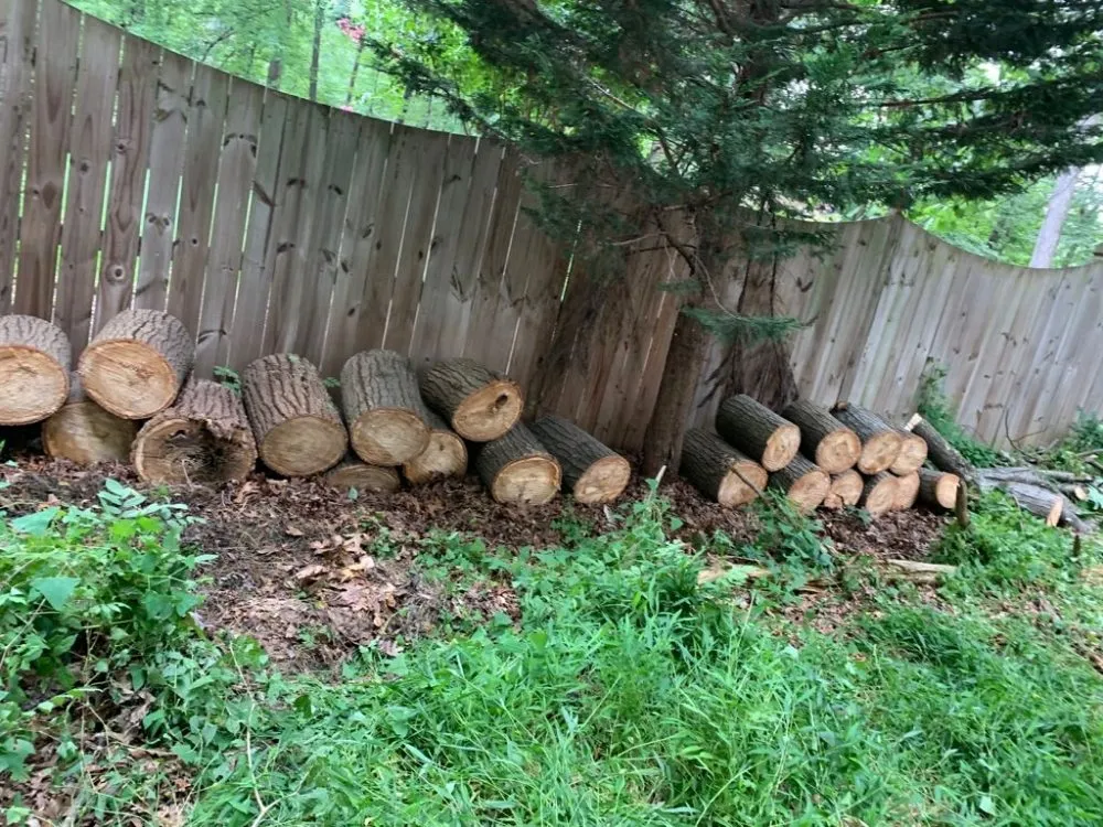 Reliable yard cleanup service in Lothian, MD - Arriola property management
