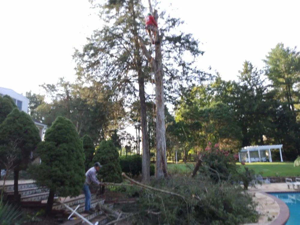Expert outdoor landscaping in Lothian, MD - Arriola property management