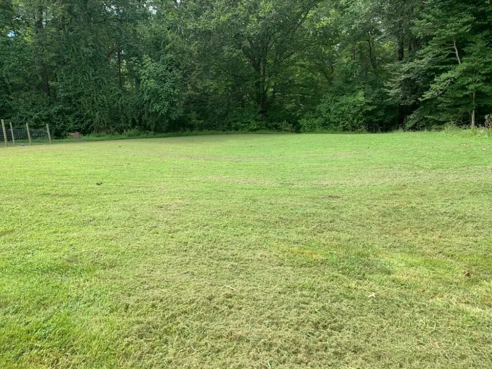 Reliable yard cleanup service near you in Lothian, MD by Arriola property management
