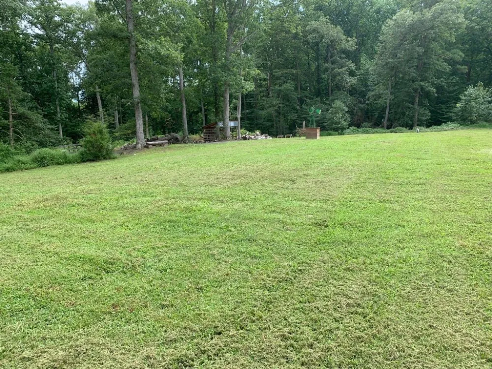 Affordable outdoor landscaping in Lothian, MD by Arriola property management