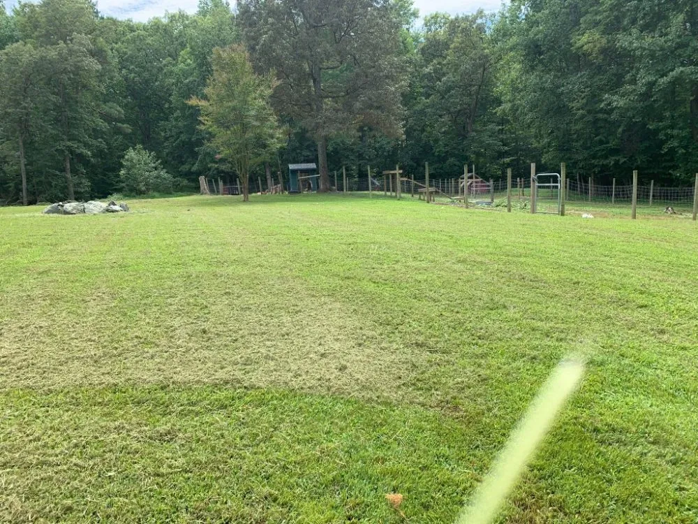 Expert yard maintenance near you across Lothian, MD - Arriola property management
