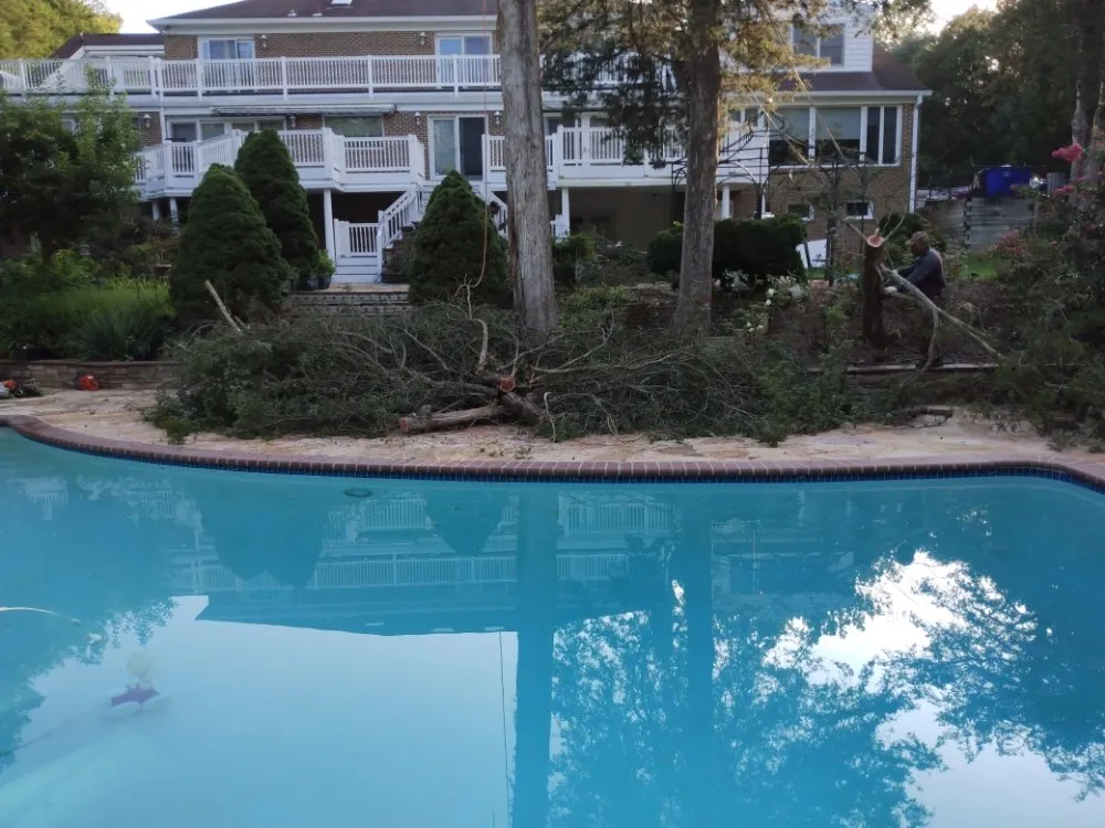 Trusted yard maintenance for residential properties in Lothian, MD by Arriola property management