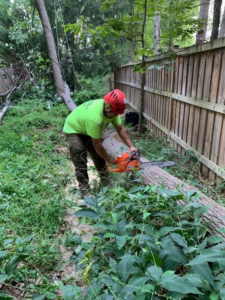 Local garden landscaping in Lothian, MD - Arriola property management