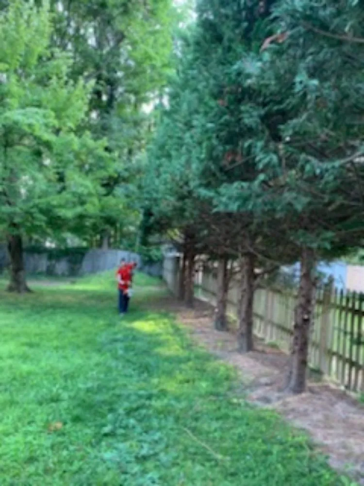 Reliable yard cleanup service in Lothian, MD by Arriola property management