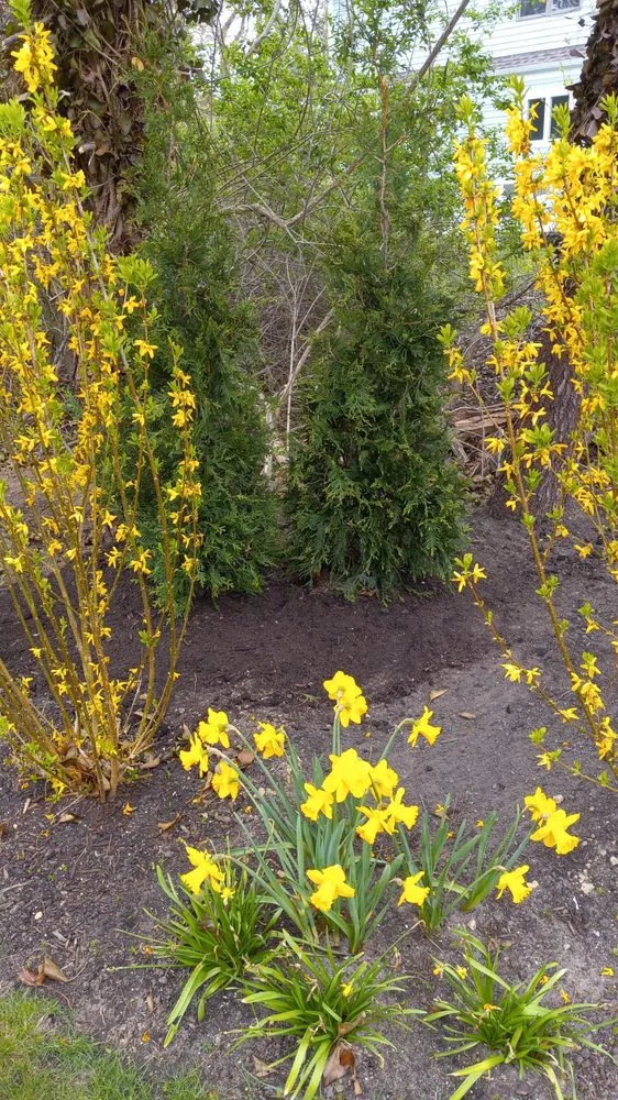 Local outdoor landscaping in Harwich, MA - Arriola's Landscaping