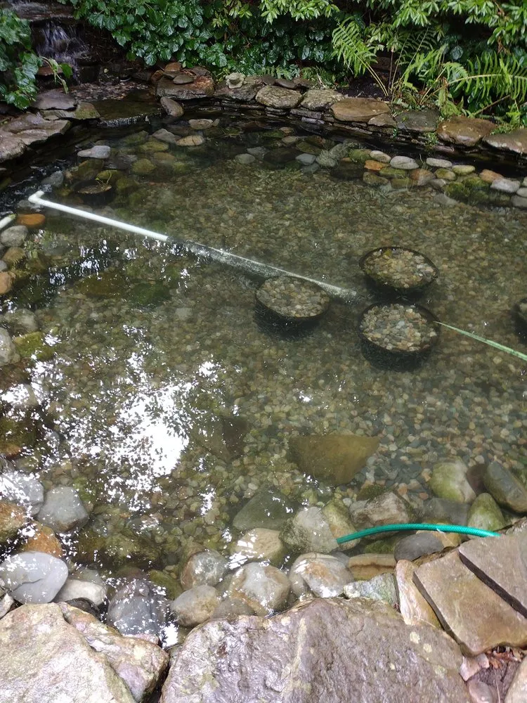 Top-rated yard maintenance for homes across Harwich, MA - Arriola's Landscaping