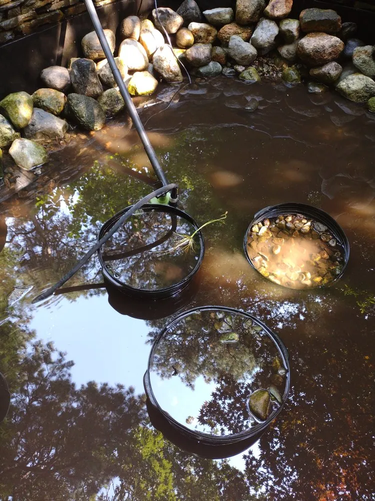 Affordable landscaping services for year-round maintenance in Harwich, MA by Arriola's Landscaping