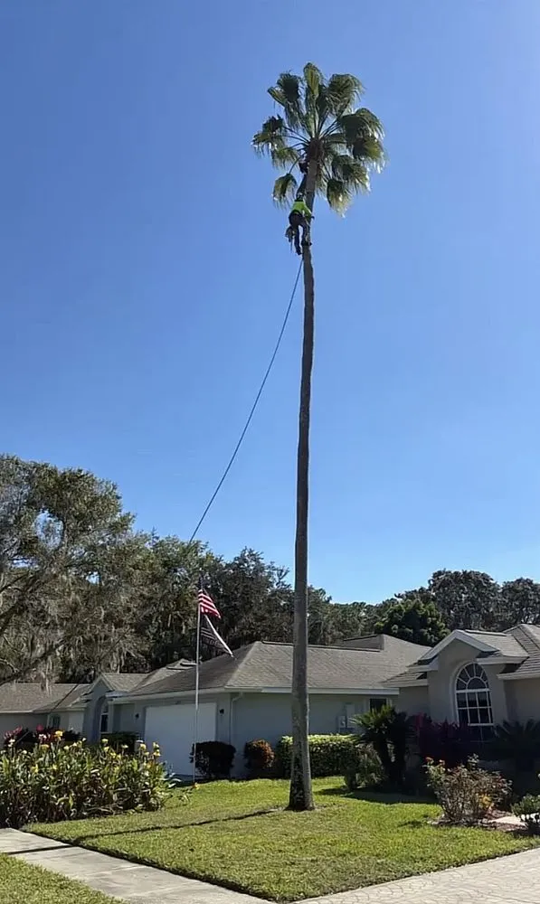 Custom lawn care service for residential properties in Eustis, FL by Arrion’s Tree N Lawn