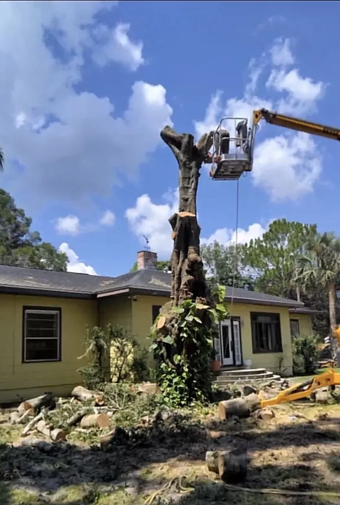 Reliable lawn mowing service in Eustis, FL - Arrion’s Tree N Lawn