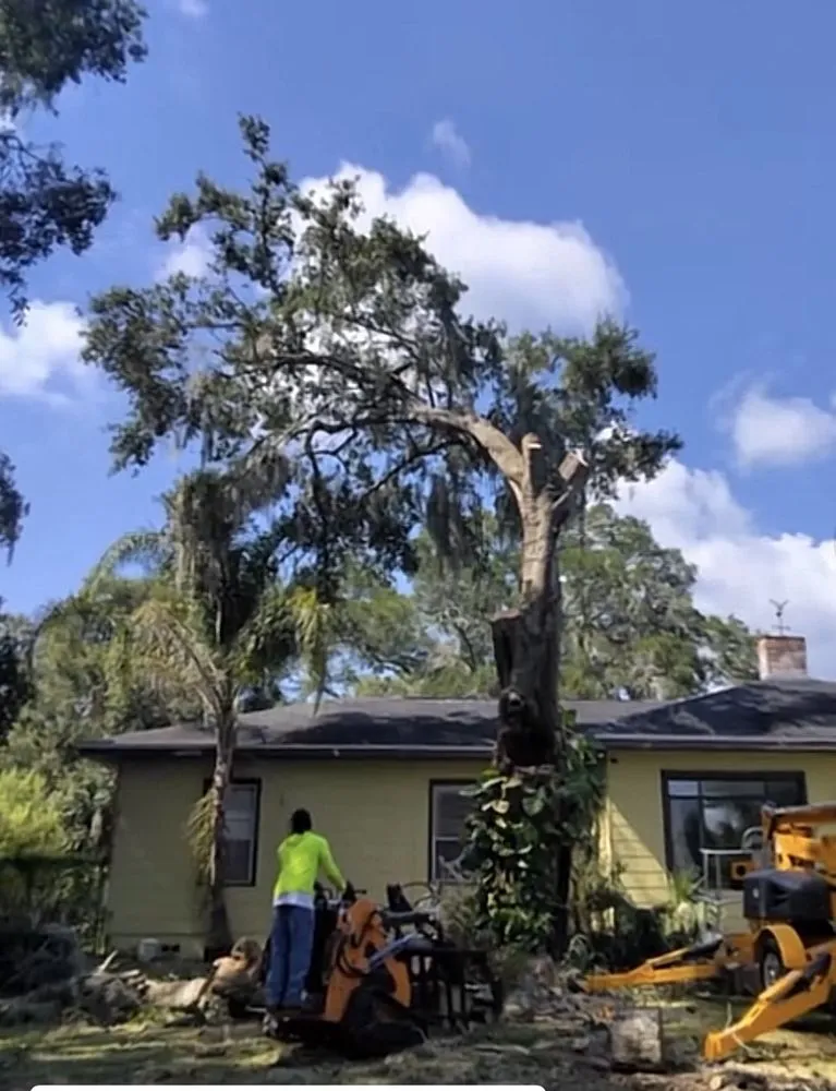 Reliable outdoor landscaping in Eustis, FL by Arrion’s Tree N Lawn