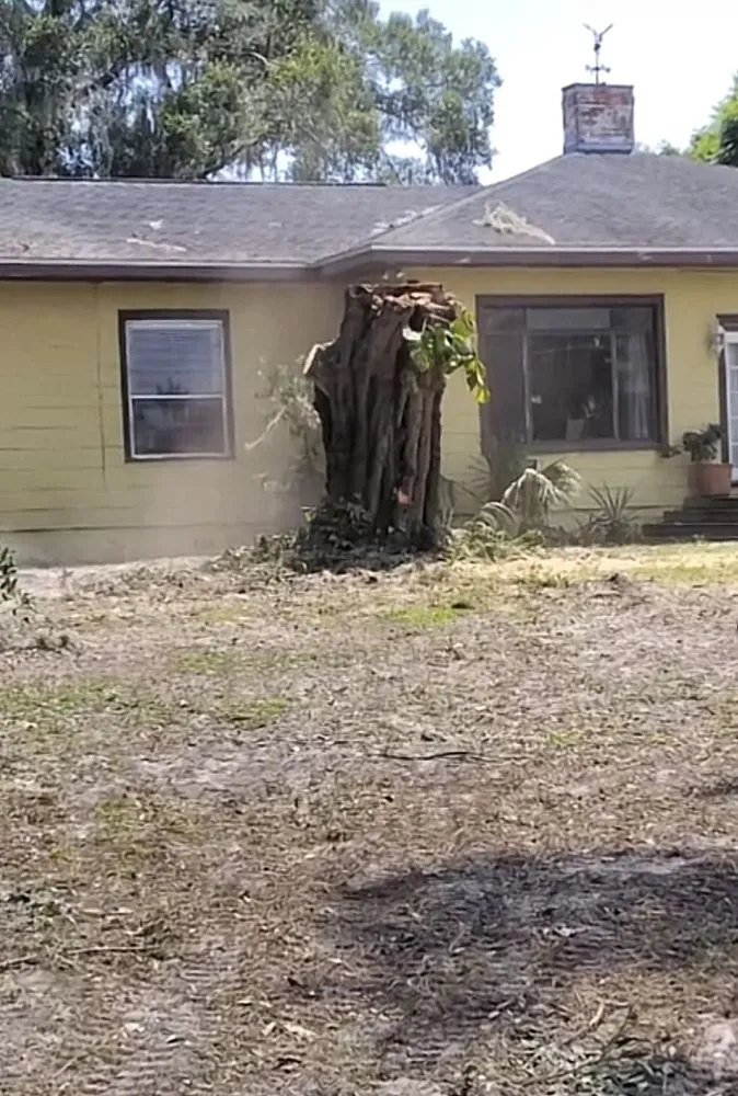 Custom residential landscaping in Eustis, FL by Arrion’s Tree N Lawn