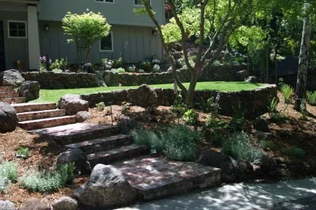 Professional yard maintenance in Fairfax, CA by Arrow Deck & Construction