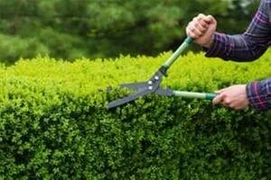 Custom yard maintenance in Nokesville, VA by Arrow Enterprise