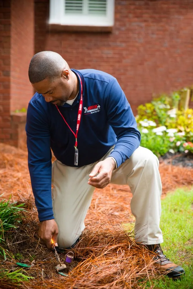 Expert lawn mowing service near you in Hilton Head Island, SC by Arrow Exterminators