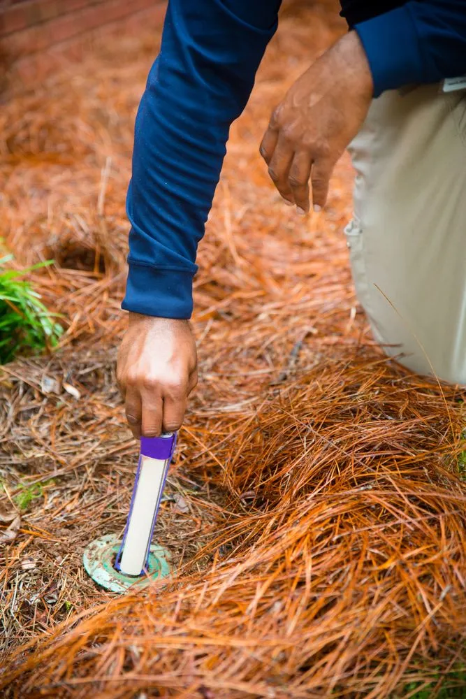 Local landscape design experts serving Hilton Head Island, SC - Arrow Exterminators