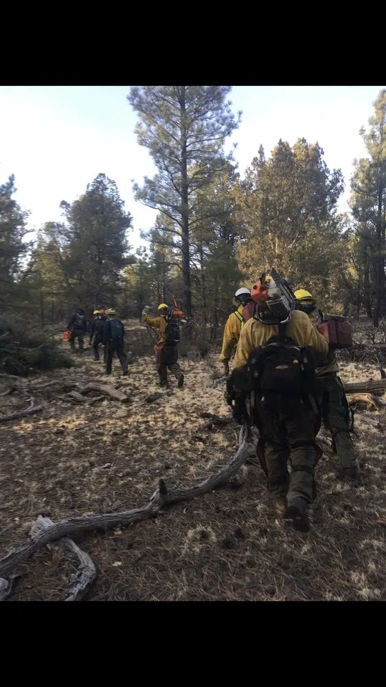 Trusted landscape design in Prescott, AZ by Arrow Fire & Land Management