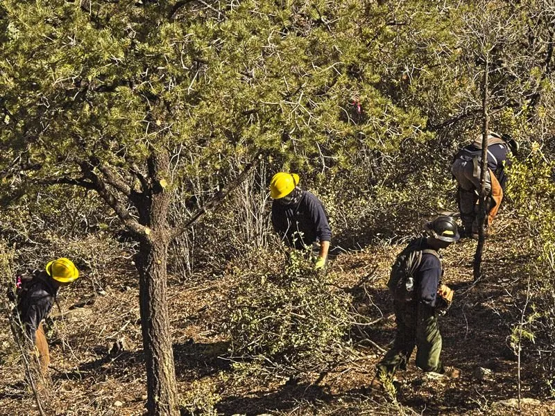 Reliable landscaping services in Prescott, AZ by Arrow Fire & Land Management