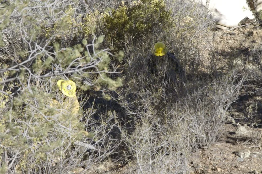 Trusted yard maintenance with custom design across Prescott, AZ - Arrow Fire & Land Management