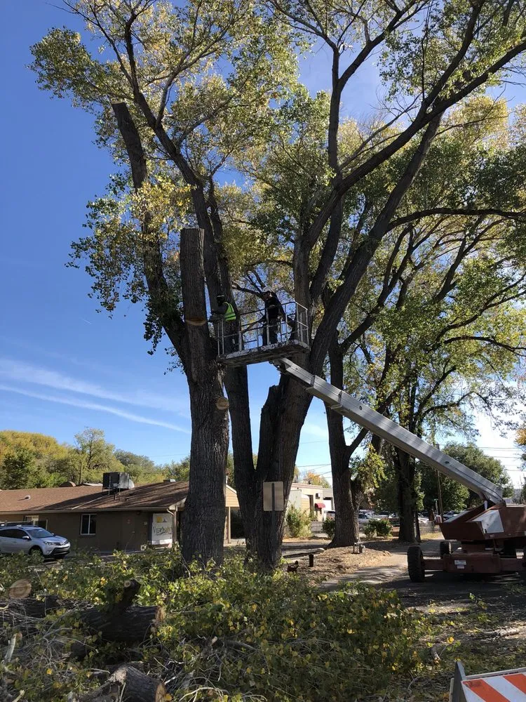 Affordable landscape design in Prescott, AZ by Arrow Fire & Land Management