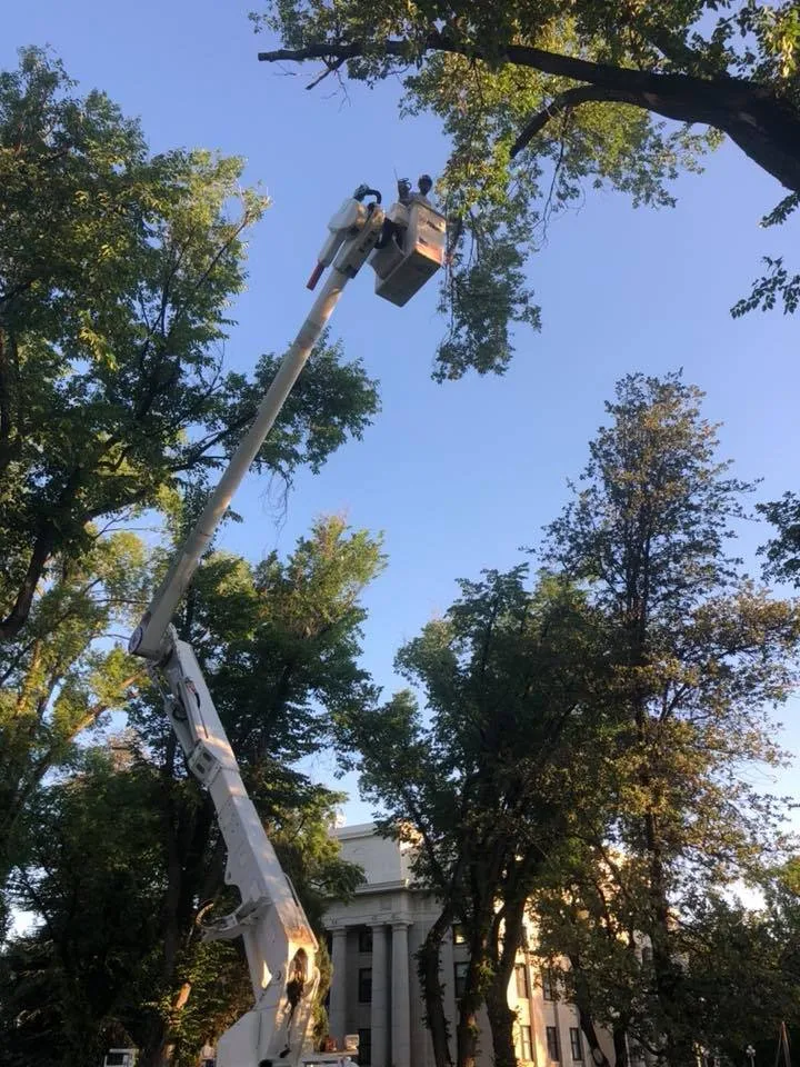 Affordable residential landscaping for year-round maintenance across Prescott, AZ - Arrow Fire & Land Management