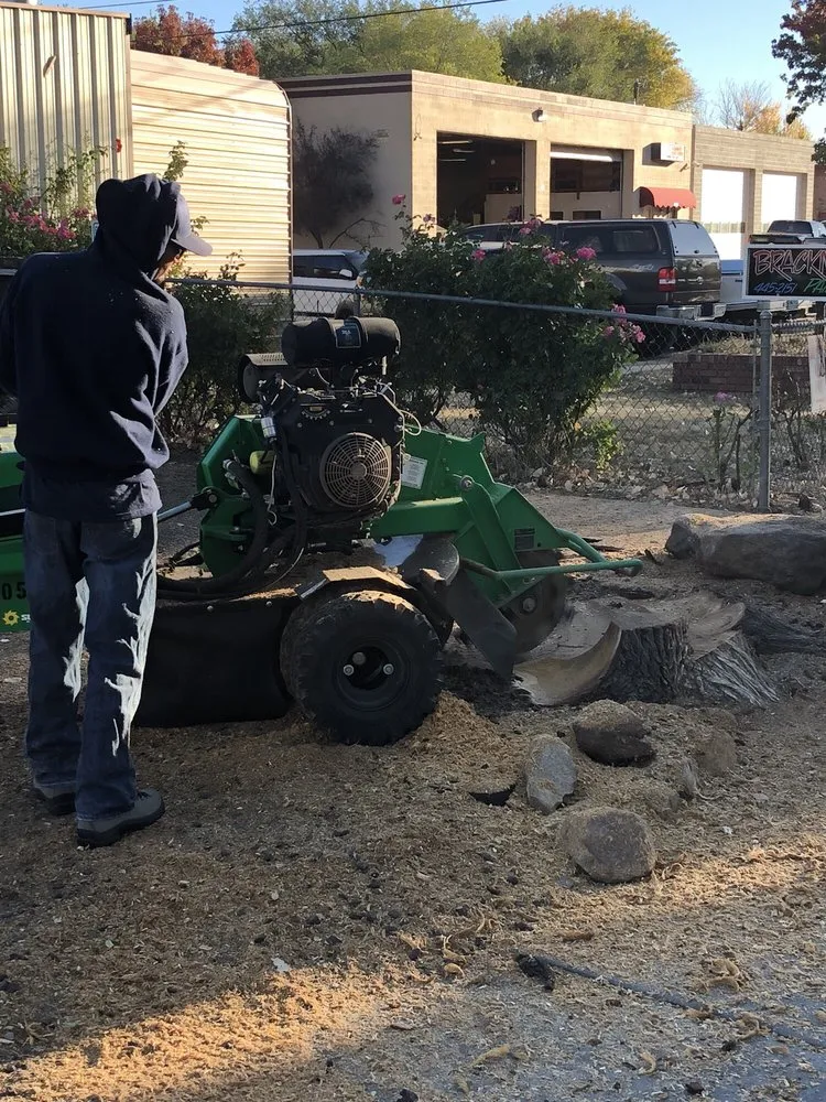 Local landscaping services near you in Prescott, AZ by Arrow Fire & Land Management