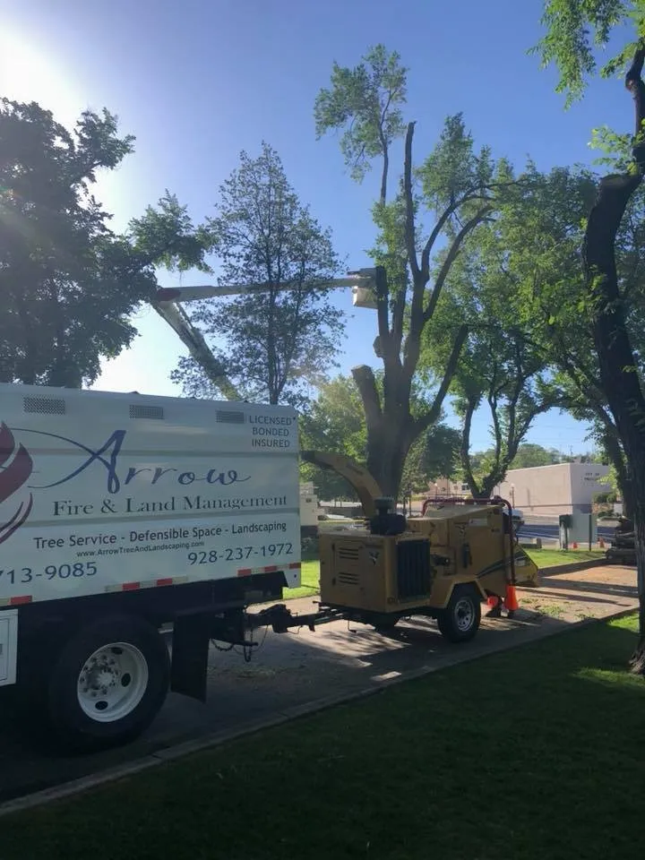 Custom yard cleanup service with custom design across Prescott, AZ - Arrow Fire & Land Management