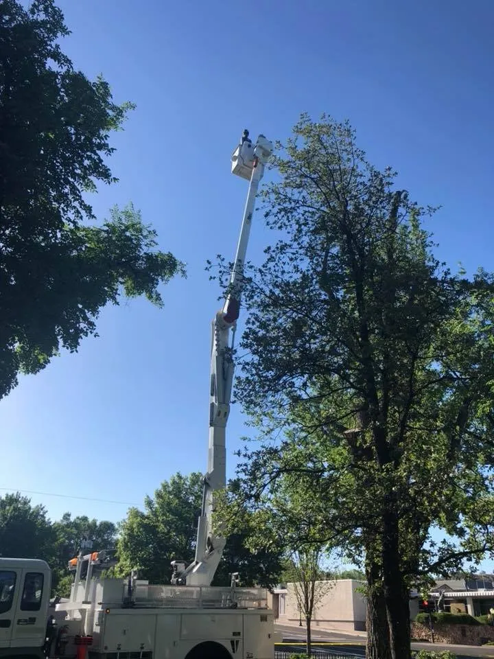 Top-rated yard maintenance for outdoor upgrades across Prescott, AZ - Arrow Fire & Land Management