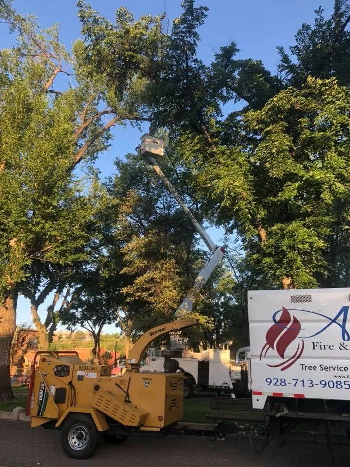 Reliable landscape installation in Prescott, AZ by Arrow Fire & Land Management