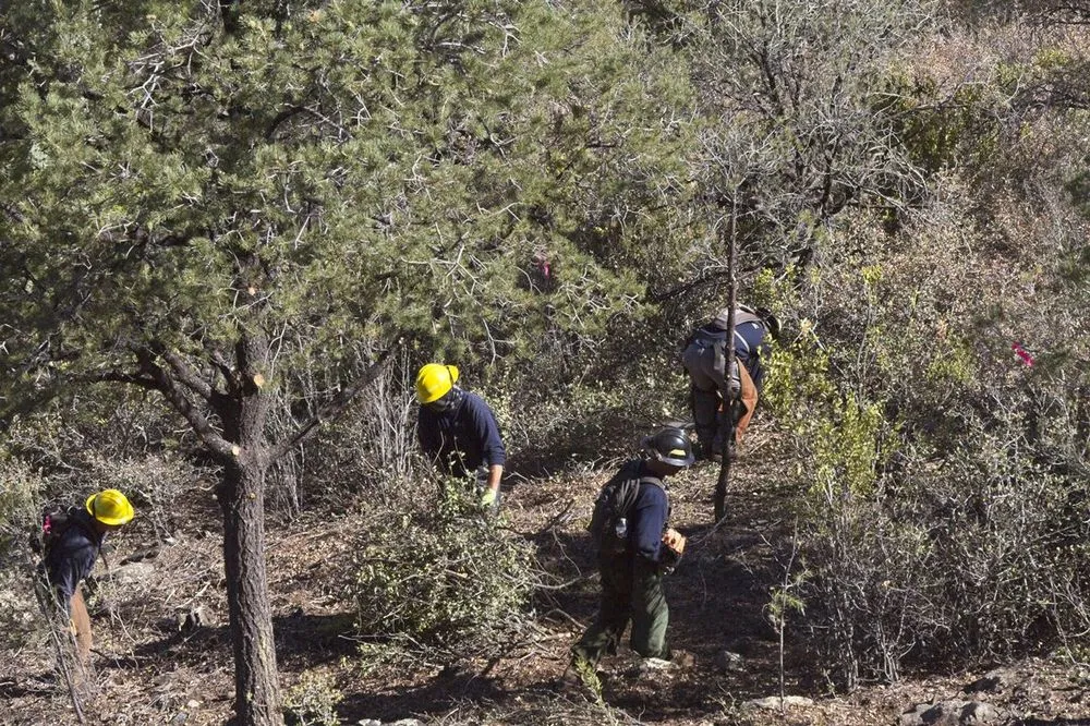 Top-rated outdoor landscaping in Prescott, AZ - Arrow Fire & Land Management