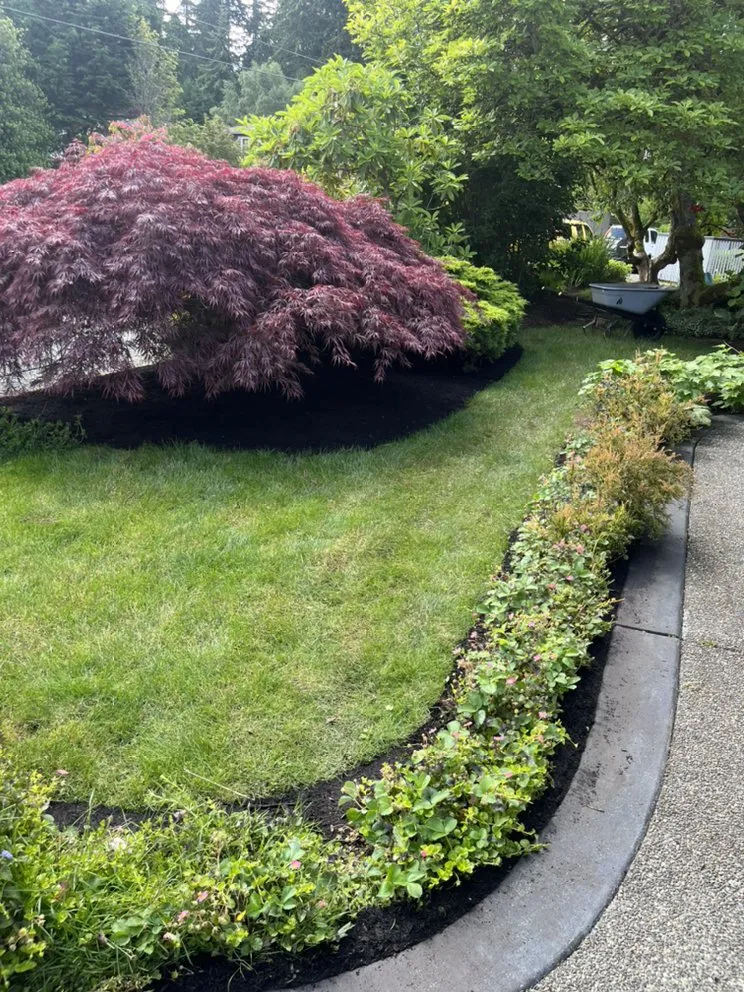 Custom lawn mowing service in Bellingham, WA - Arrow Home & Lawn