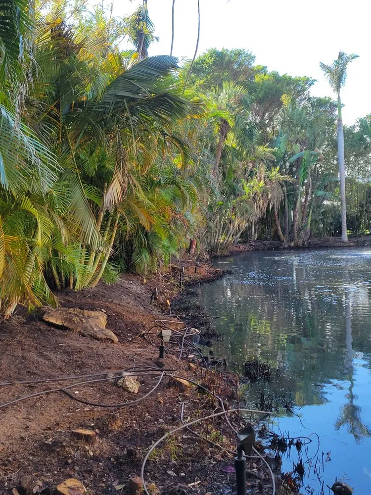 Reliable outdoor landscaping near you across Naples, FL - Arrow Landscaping and Designs