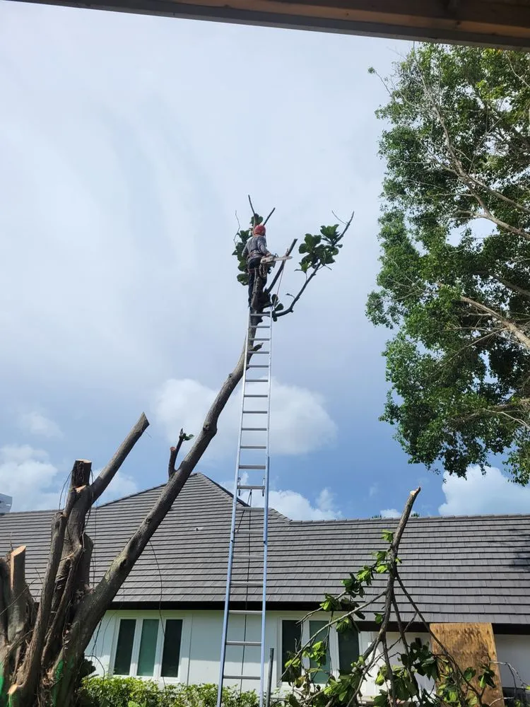 Local lawn mowing service experts serving Naples, FL - Arrow Landscaping and Designs