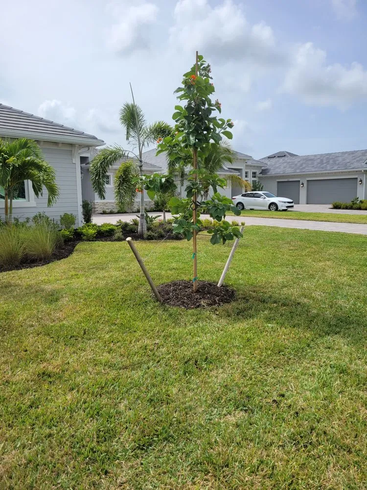 Professional yard maintenance for homes in Naples, FL by Arrow Landscaping and Designs