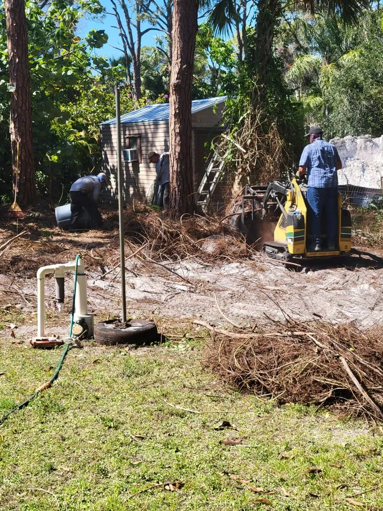 Reliable landscape design for outdoor upgrades across Naples, FL - Arrow Landscaping and Designs