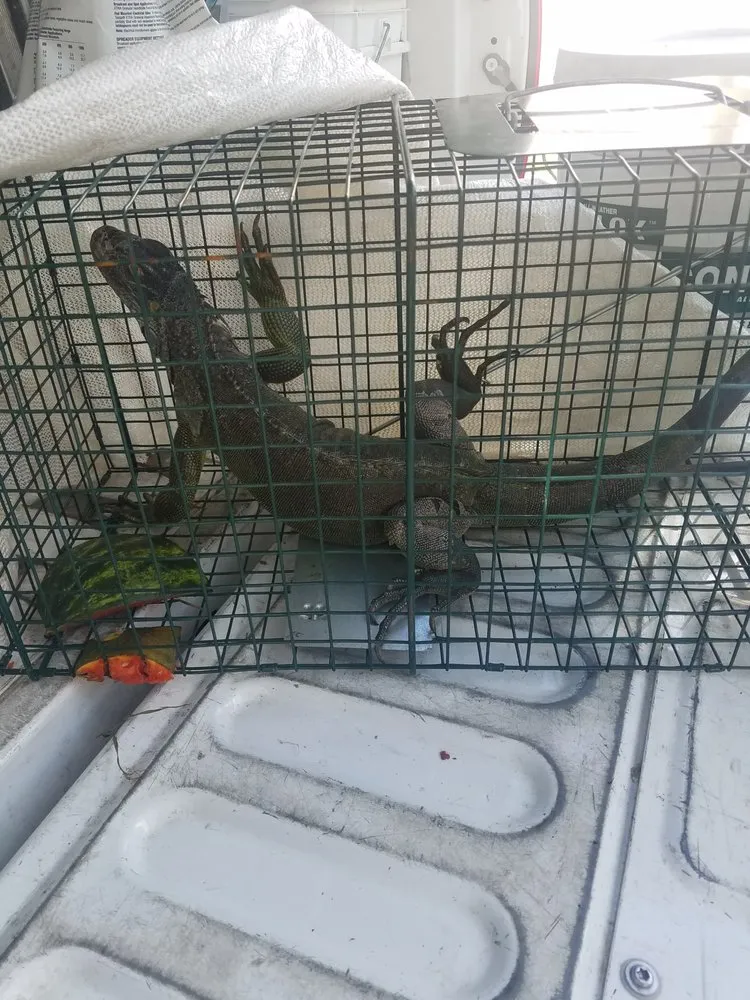 Affordable outdoor landscaping experts serving Naples, FL - Arrow Landscaping and Designs