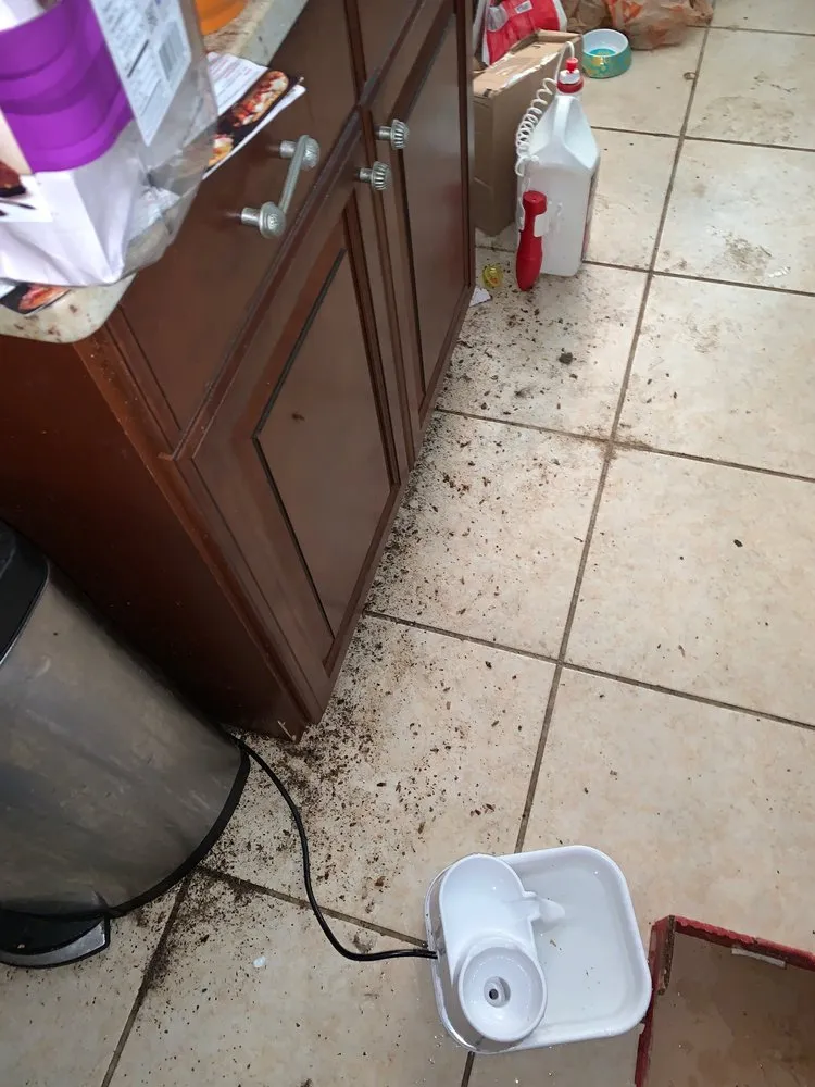 Custom yard maintenance in Naples, FL - Arrow Landscaping and Designs