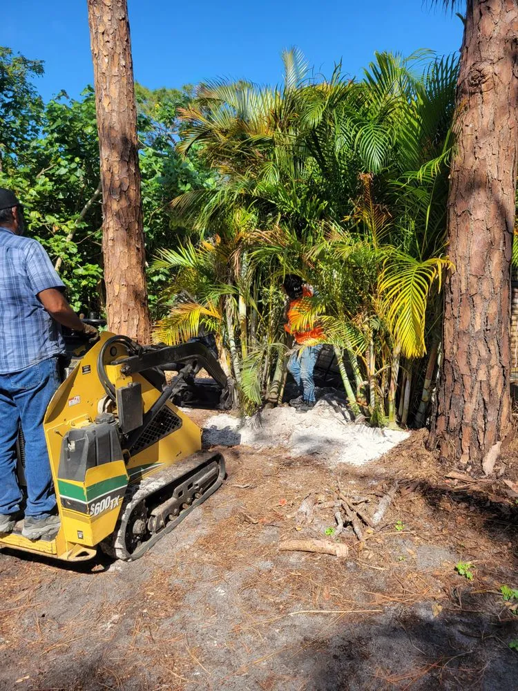 Reliable yard maintenance experts serving Naples, FL - Arrow Landscaping and Designs